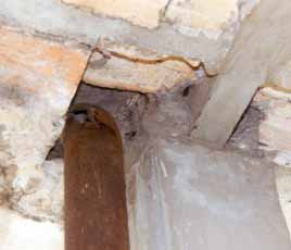 Zur�ck (DBU-Bestand.de \ Ma�nahmekatalog)